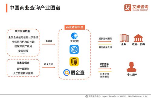 2021年中國商業(yè)查詢行業(yè)發(fā)展全景解析 產(chǎn)業(yè)圖譜、服務場景、用戶規(guī)模與上海軟件開發(fā)聚焦