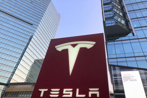 晚報 羅永浩劍指帶貨一哥，蘋果上架2018款官翻機，上海軟件開發新風向